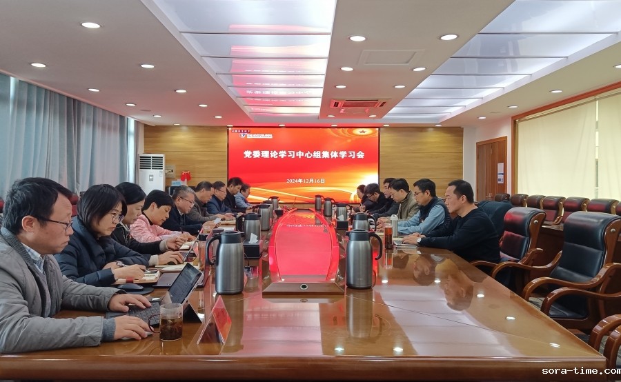 党委理论学习中心组专题学习贯彻习近平法治思想