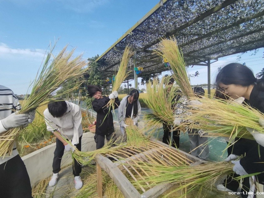 劳动挥洒辛勤汗水 青春续写时代华章 ——马院“行浸式思政课”走进田间地头