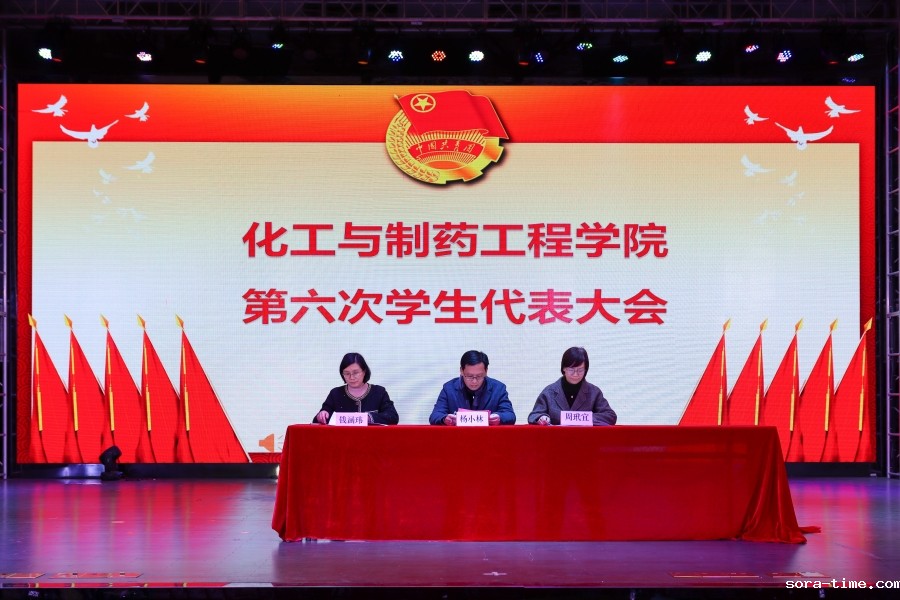 化工学院召开第六次学生代表大会